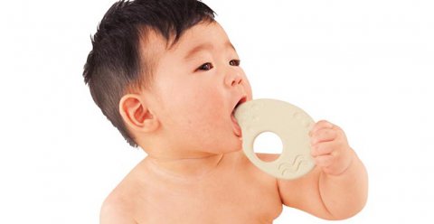 要出典 赤ちゃんのはがため ピープル お米の歯がため