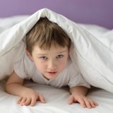 子供 布団 男の子