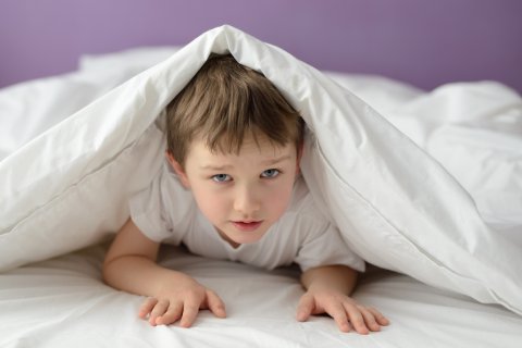 子供 布団 男の子