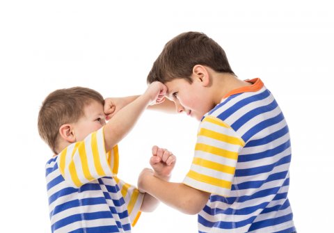 兄弟喧嘩を解決する方法は 親はどう対処したらいい 仲裁すべき こそだてハック