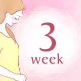 妊娠3週 アイコン