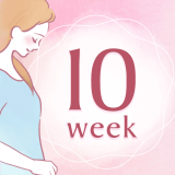 妊娠10週 アイコン