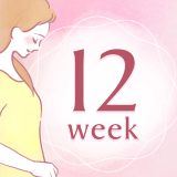 妊娠12週 アイコン