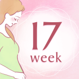 妊娠17週 アイコン