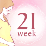 妊娠21週 アイコン