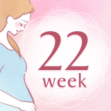 妊娠22週 アイコン