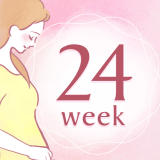 妊娠24週 アイコン