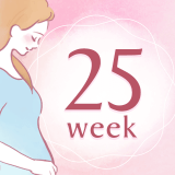 妊娠25週 アイコン