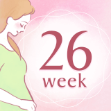 妊娠26週 アイコン