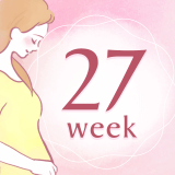 妊娠27週 アイコン