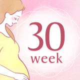 妊娠30週 アイコン