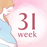 妊娠31週 アイコン