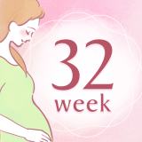妊娠32週 アイコン