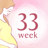 妊娠33週 アイコン
