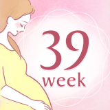 妊娠39週 アイコン
