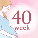妊娠40週 アイコン
