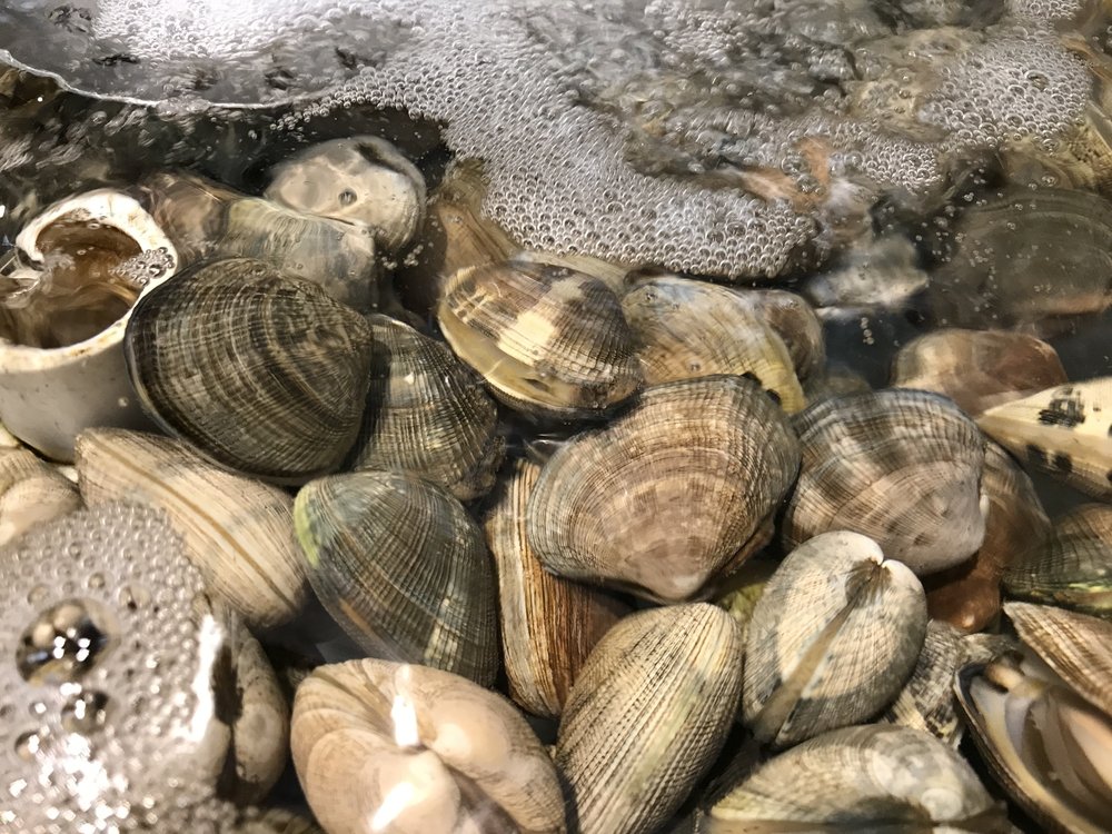 不足しがちな鉄分を効率的に摂ろう 離乳食完了期のおすすめレシピ こそだてハック