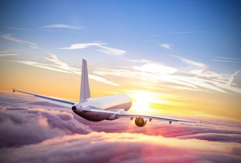親子留学 飛行機 旅行