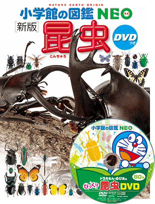 要出典 昆虫図鑑 子供 DVD付 新版 昆虫(小学館の図鑑 NEO)
