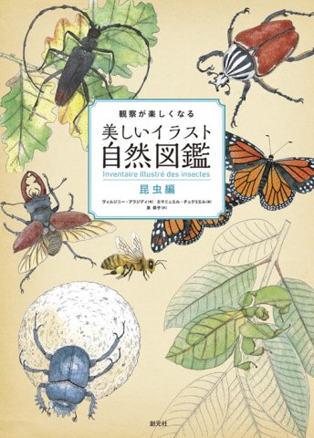 要出典 昆虫図鑑 観察が楽しくなる美しいイラスト自然図鑑 昆虫編
