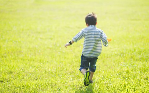 男の子 芝生 元気