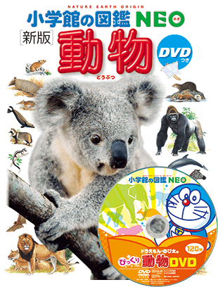要出典 図鑑 子供向け 小学館の図鑑 NEO DVD付 新版 動物