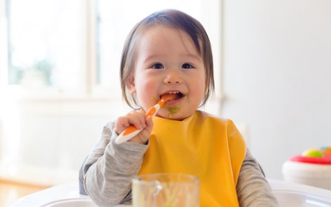 離乳食 赤ちゃん 日本人