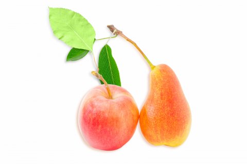 皮下脂肪と内臓脂肪 りんごと洋ナシ