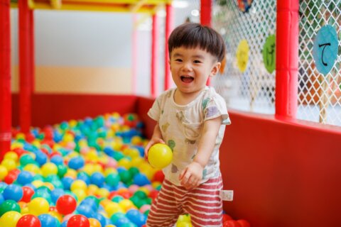 男の子 子供 24415575_m