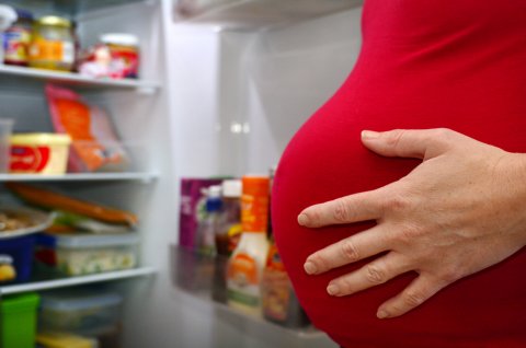 妊婦 食事 冷蔵庫