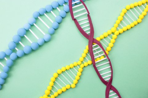DNA