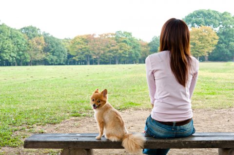 女性 日本人 犬 公園 散歩