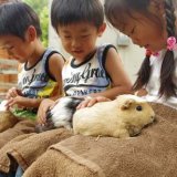 要出典 足立区生物園