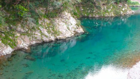 要出典 川遊び 黒尊川(くろそんかわ)四万十川支流(高知県)2