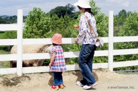 妊娠・出産体験記 オリジナル 二人目 上の子 Y ロゴ入り