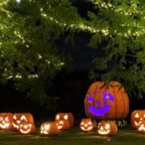 要出典 森林公園 ハロウィンナイト