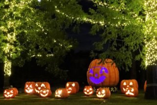 要出典 森林公園 ハロウィンナイト