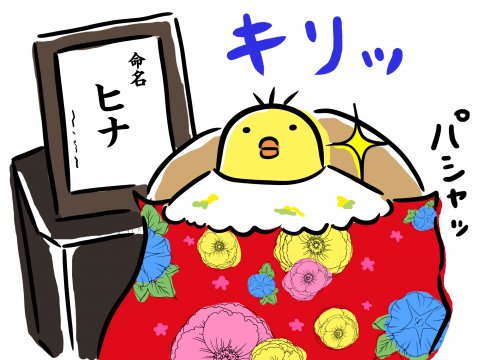 しぃのゆるぐだママ生活 第3話
