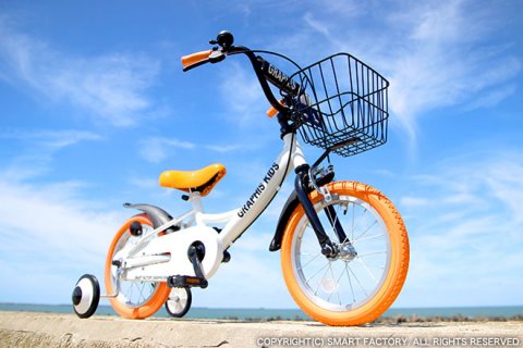 幼児用自転車 グラフィス 補助輪付き子供用自転車 GR-16