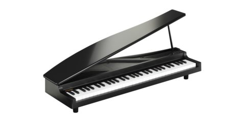 要出典 ピアノ おもちゃ KORG マイクロピアノ ミニ鍵盤