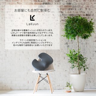 要出典 骨盤クッション LaKuun 低反発クッション 骨盤サポート