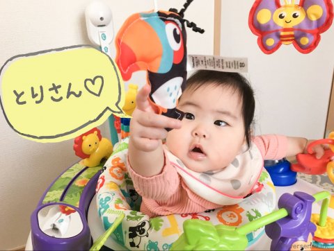 記事広告 マテル ジャンパルー