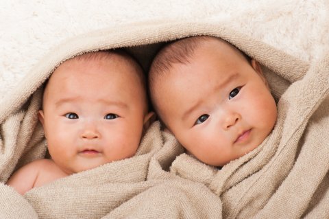 双子 日本人