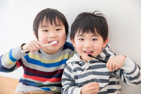 男の子 兄弟 日本人 歯磨き