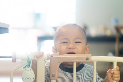 ベビーゲート 日本人 子供
