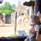 赤ちゃん 動物園 日本人