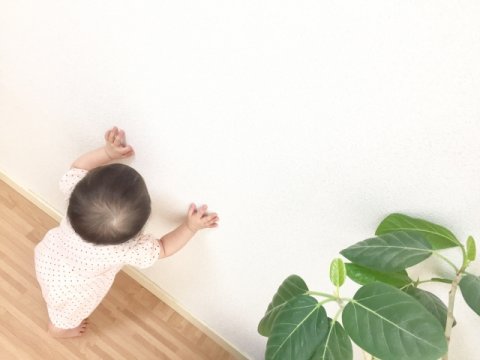 つかまり立ち 赤ちゃん 日本人
