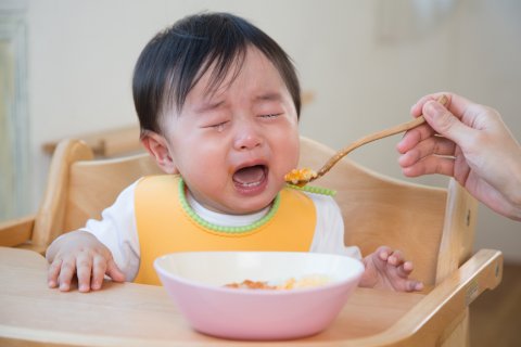離乳食 泣く 赤ちゃん 日本人