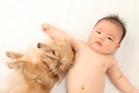 赤ちゃん 新生児 犬 日本人