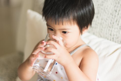 子供 水 コップ 日本人 脱水症状
